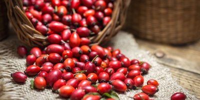 Šípky jsou skvělé pro výrobu tradiční omáčky i zdraví prospěšného čaje. Nasušte si je do zásoby