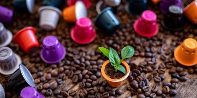 Kávové kapsle, kávová zrna a rostlinka