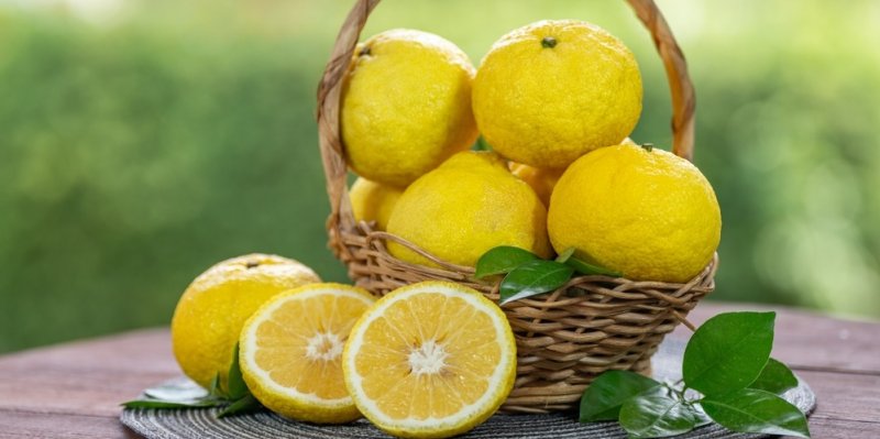 Připomíná citron, ale je mnohem lepší! Supercitrus yuzu u nás čerstvý nekoupíte, přesto se stal hitem