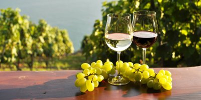 Střapec hroznů a dvě skleničky na stole, jedna s bílým vínem a jedna s červeným vínem