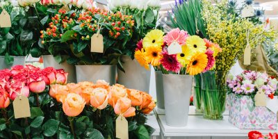 Nabídka různých květin v květinářství