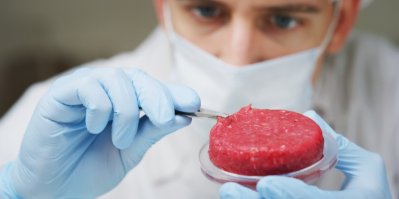 Kultivované maso v Petriho miskách