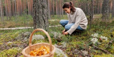 Žena v lese sbírá houby