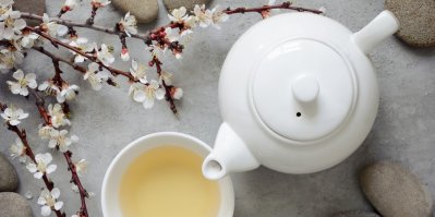 Šálek s čajem a bílou čajovou konvicí, kvetoucí větev v pozadí