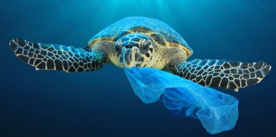 Odpadky znečišťují oceány. Želva si může plastový sáček splést s medúzou