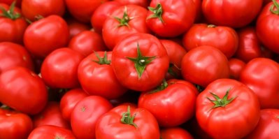 Červená masitá rajčata