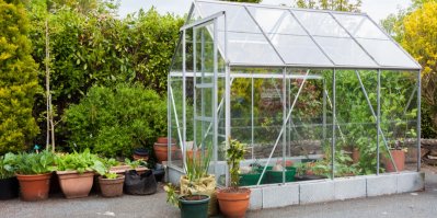 Domácí skleník na zahradě