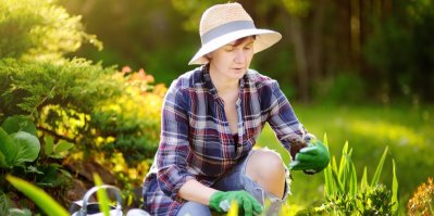 Zahrada v srpnu: Chcete letos ještě sklízet? Ředkvičky, kopr i špenát stíháte