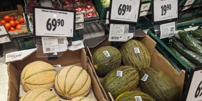 Melouny Cantaloupe v obchodě