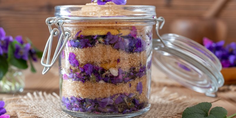 Vyrobte si z fialek sirup ze 3 ingrediencí, který zažene bolesti hlavy i kašel