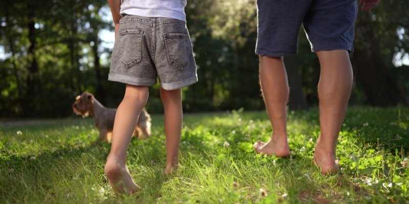 Ve městech číhá víc klíšťat než v lese. A skoro polovina jich je nakažená