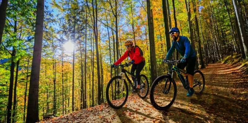 Kvíz: Co Čech, to cyklista. Jezdíte na kole? Pak byste měli znát pravidla pro cyklisty