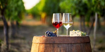 Červené a bílé víno na sudu ve vinici