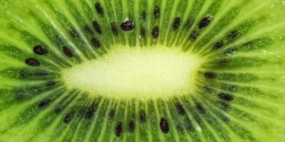 Detail kiwi