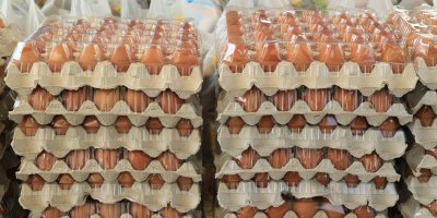 Plata vajec v supermarketu