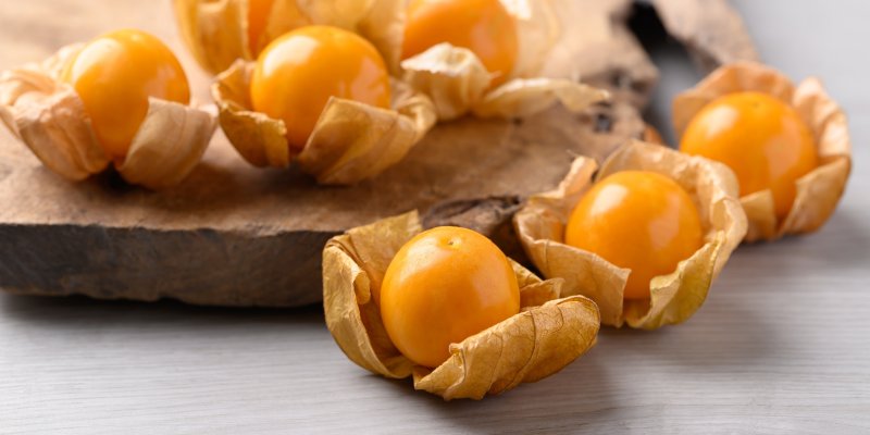 Physalis: Zdravá bobule, kterou si mnozí lidé pletou s okrasnou mochyní