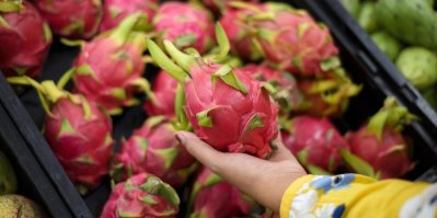 Pitahaya v supermarketu