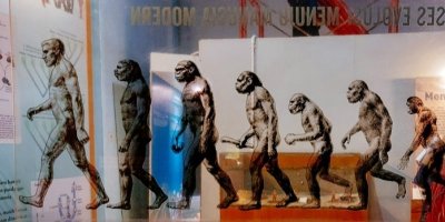 Evoluce člověka