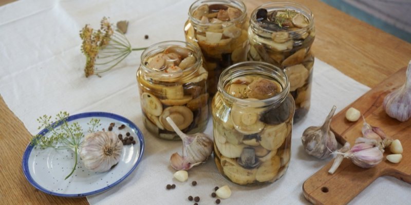 Kolik octa do nakládaných hub? Zásadní poměr, který zachrání chuť i trvanlivost