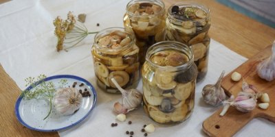 Čtyři sklenice s nakládanými houbami, česnek, kopr, nové koření