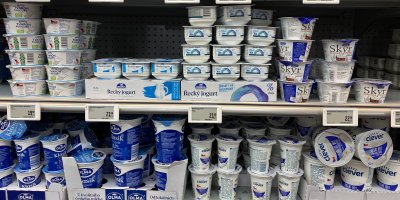 Skyr, řecký jogurt a jogurt s tvarohem nejsou to stejné: Jeden má víc bílkovin, druhý líp chutná
