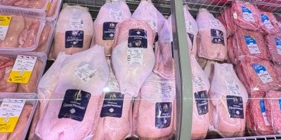 Fotogalerie: Novinky, které přitáhnou lidi do obchodů. Husy, nové Oreo i zákusek Marlenka, který je lepší než z cukrárny