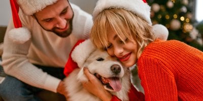 Pes pod stromeček? Krásný sen, ale i závazek na roky dopředu