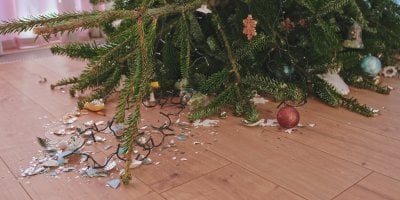Kdy a jak bez nepořádku odstrojit vánoční stromeček? Správné načasování i postup rozhodují, radí floristka