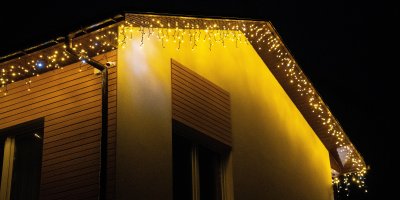 Vánoční světla zabíjejí ptáky a hmyz. Blikání je nejhorší chyba, varují ochránci přírody