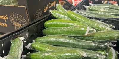 FOTOGALERIE z obchodů: Zákazníky překvapila nová varianta šunky na rohlík, levné okurky vyvolaly bouři reakcí