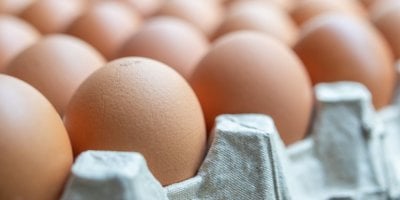 Klecová vejce už řetězce v Česku neprodávají. Kromě jednoho. „Česká vejce nechceme nahrazovat dovozem,“ brání se COOP