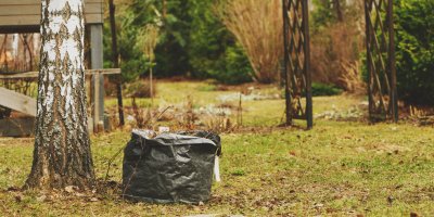 Co dělat s trávníkem v únoru: Nenápadné chyby v zimě mohou zničit celý trávník