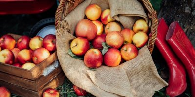 Jablka v košíku a bedýnce