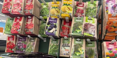 Kupujete semínka? Jedna chyba na sáčku vás může stát celou úrodu. Rozhoduje malé písmo vzadu