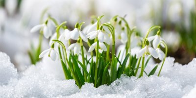 Březen podle našich předků: Ty nejlepší pranostiky, které předpovídaly počasí i úrodu