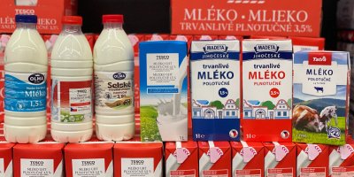Velké srovnání mléka: Od 8 do 60 Kč za litr. V čem se liší a čím překvapila levná mléka méně známých značek