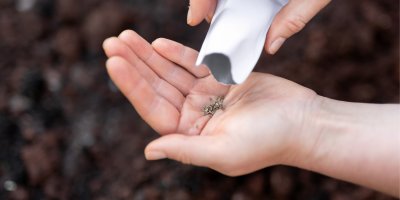 Zapomeňte na klasické setí. Metoda se solamylem usnadní práci i protrhávání