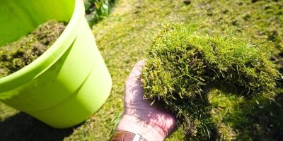 Co na jaře s trávníkem plným mechu? Expert radí, na kdy počkat, jaké zvolit hnojivo a jak na zásyp pískem