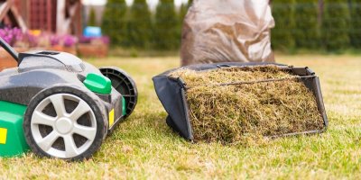 Vertikutace trávníku není pro každého. Jedna chyba může nadělat víc škody než užitku, varují odborníci
