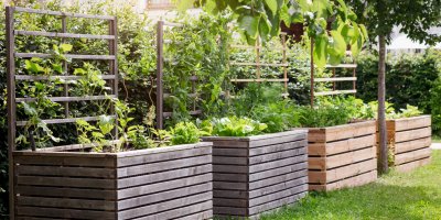 Vyvýšené záhony letos znovu táhnou. Ne vše do nich ale patří, některé rostliny v nich nadělají víc škody než užitku