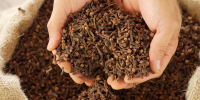 Nenápadné koření s velkou silou. Hřebíček může pomoci s cukrem i ochranou mozku, popisují vědci