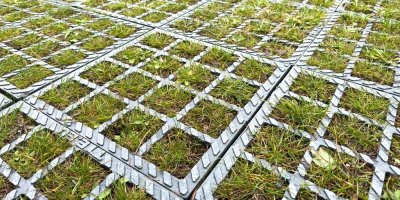 Chcete zpevnit trávník? Plastové zatravňovací dlažby a rohože udrží i auto, zelená plocha zůstane