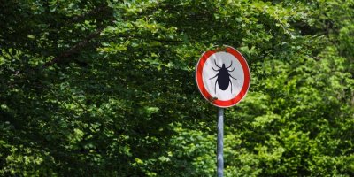 Aktivita klíšťat je alarmující. Mapa Česka se zbarvila do červena, v bezpečí nejsme skoro nikde