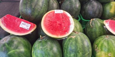 Meloun ze supermarketu nikdy nekrájejte hned. Kvůli jedné chybě si můžete zanést bakterie do dužiny i poškrábat lednici