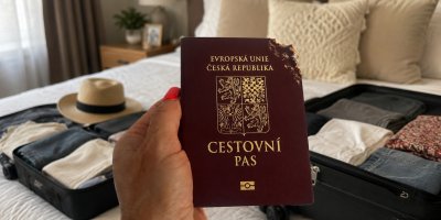 Pes rozkousal pas dva dny před odletem. Rodina kvůli Turecku řešila drahý rychlopas