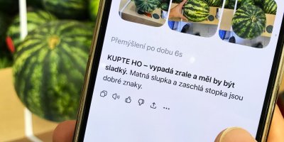 Umělá inteligence za nás vybírala melouny v pěti obchodech. Nejlepší aplikace se trefila čtyřikrát z pěti