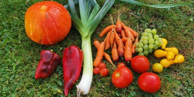Naši předci to dělali běžně, dnes tomu říkáme zero waste. Na zahradě využijete trávu, listí i plevel