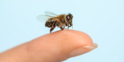 Jak zmírnit bolest po bodnutí vosou? Studená voda pomůže, ocet nechte v kuchyni