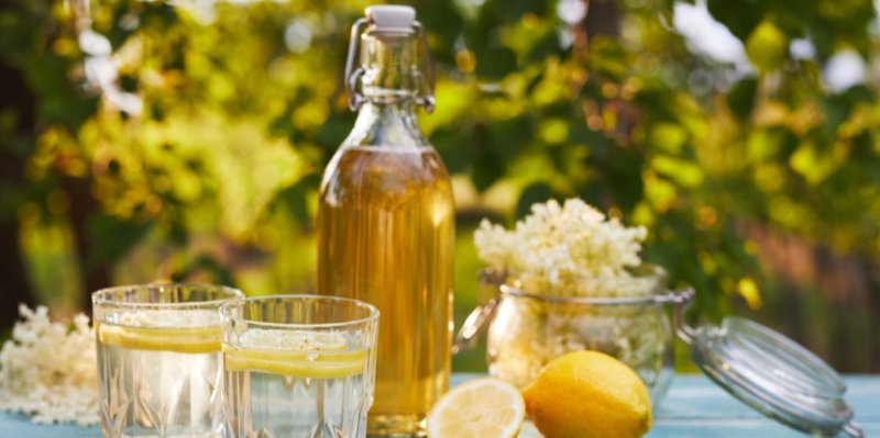 Černý bez teď kvete všude! Uvařte si vynikající domácí sirup do osvěžujících letních limonád