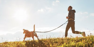 Muž běžící se psem na postroji po louce